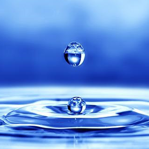 Môi trường nước